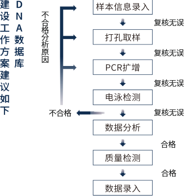 深耕数据信息技术，重塑技术服务新生态